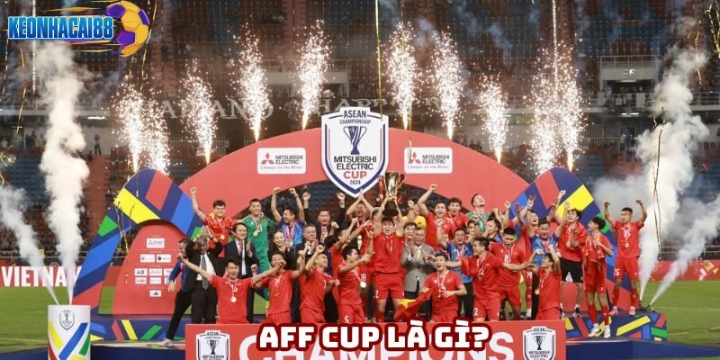 AFF Cup - Tất Cả Thông Tin Về Giải Đấu Lớn Nhất Đông Nam Á