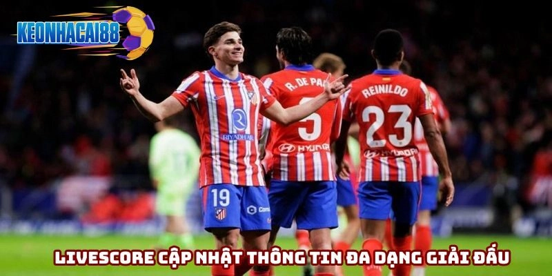 Cập nhật thông tin mọi giải đấu lớn nhỏ trên thế giới