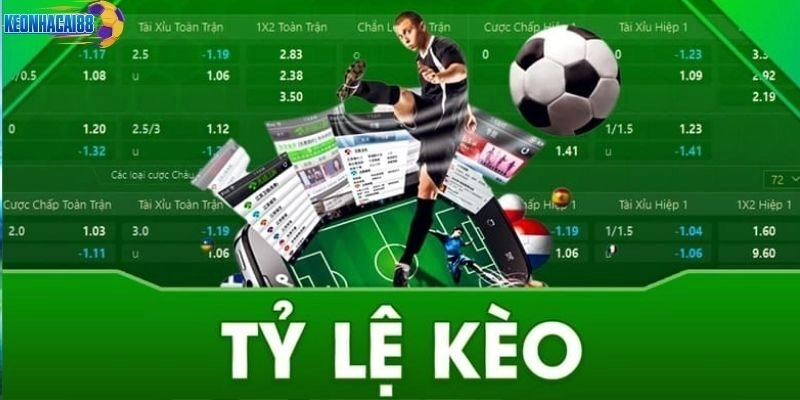 Bảng keonhacai88 gồm những loại nào phổ biến?