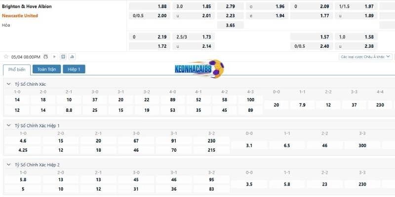 Tỷ lệ cá cược trận Brighton vs Newcastle