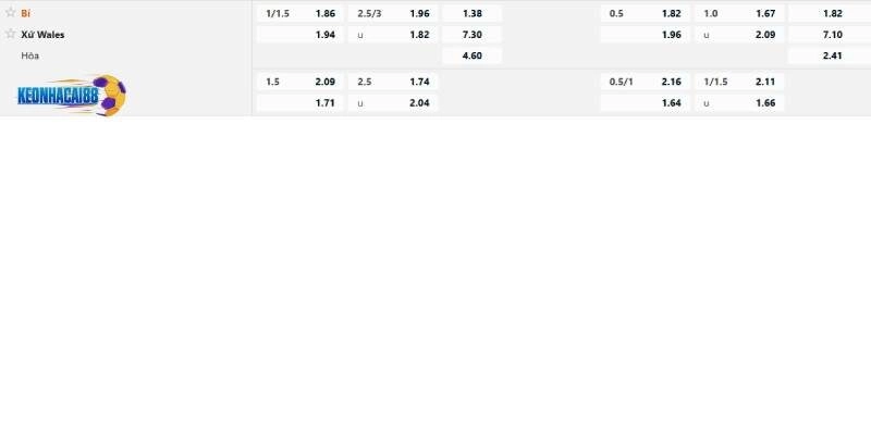 Tỉ lệ kèo trận Bỉ vs Xứ Wales